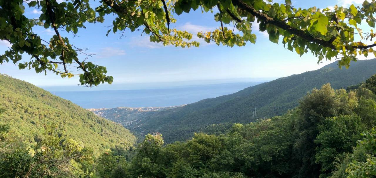 Appartamento Ai Piedi Della Pigna Sanremo Exteriör bild