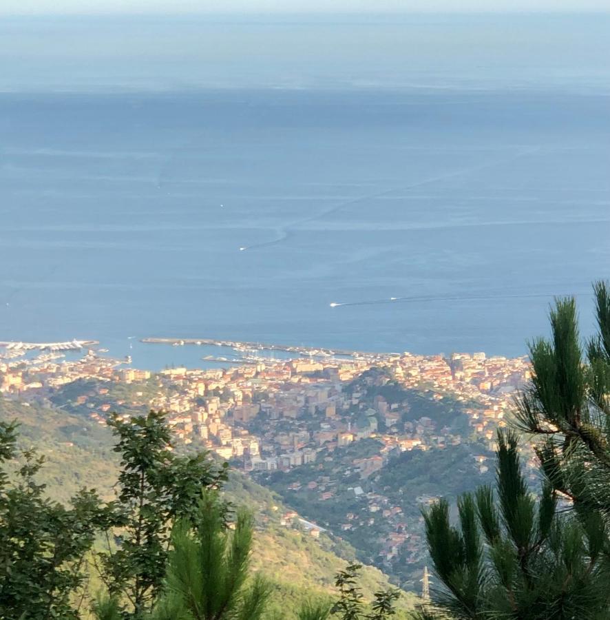 Appartamento Ai Piedi Della Pigna Sanremo Exteriör bild